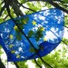 Europe Day - European Union - Some rights reserved by Niccolò Caranti
