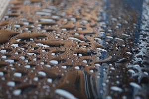 Raindrops. Photo courtesy of alexplomp on Stoch.xchng