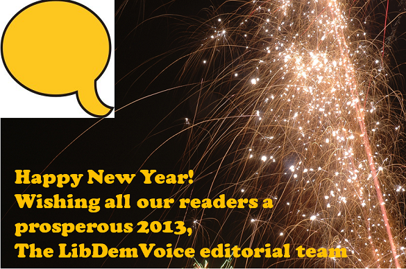libdemvoice happy 2013 graphic