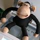 Lib Dem Riso Monkey