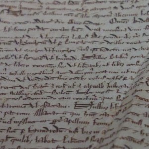 Magna Carta by Etee