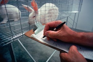 Lab_animal_testing
