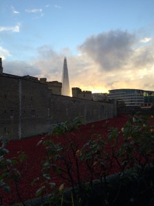 Poppies, Tower, Shard