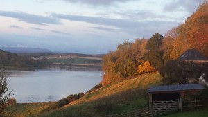 Autumn comes to Munlochy Bay