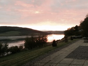 Roebuck at sunset