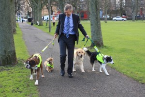 Willie walks dogs