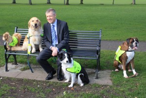 Wille and pets