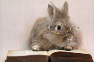 Easter bunny reading