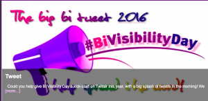 Bi Visibility Day 2016